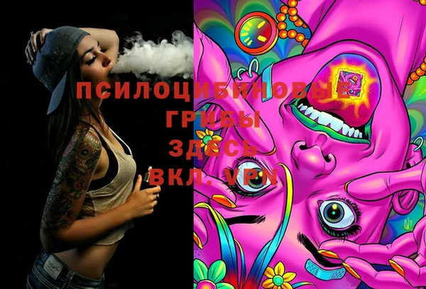 PSILOCYBIN Нязепетровск